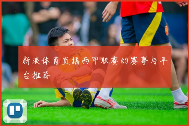 新浪体育直播西甲联赛的赛事与平台推荐