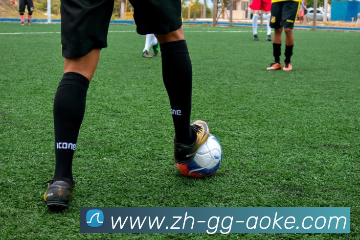 多媒体互动体验