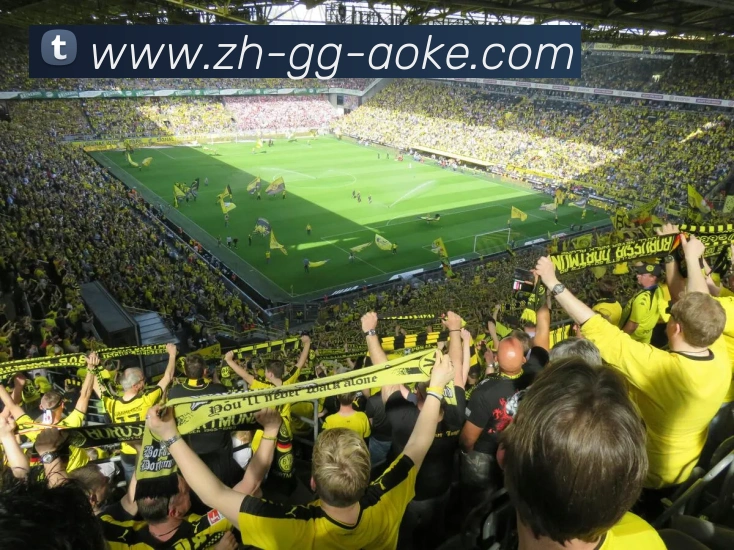 澳客足彩APP 高清赛事图